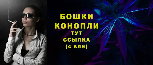 ПСИЛОЦИБИНОВЫЕ ГРИБЫ Вязники