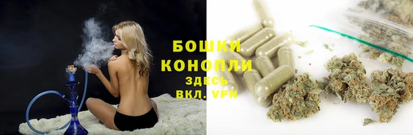шишки Вяземский