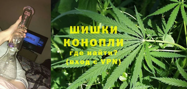 шишки Вяземский