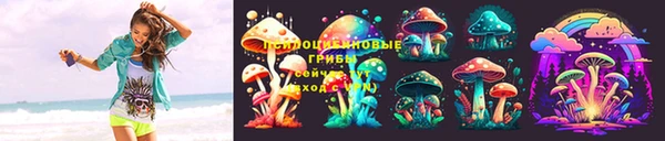 ПСИЛОЦИБИНОВЫЕ ГРИБЫ Вязники