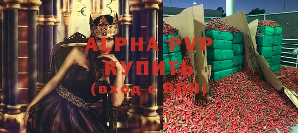 ПСИЛОЦИБИНОВЫЕ ГРИБЫ Вязники