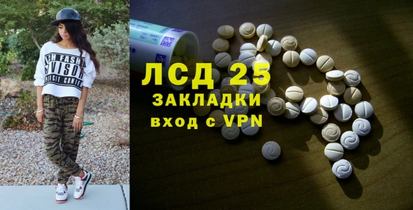 шишки Вяземский