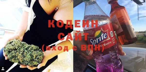 шишки Вяземский