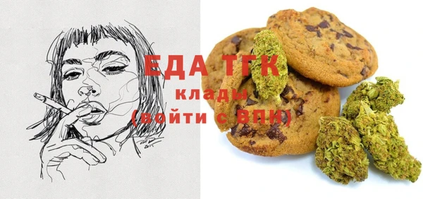 ПСИЛОЦИБИНОВЫЕ ГРИБЫ Вязники