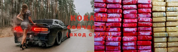 шишки Вяземский