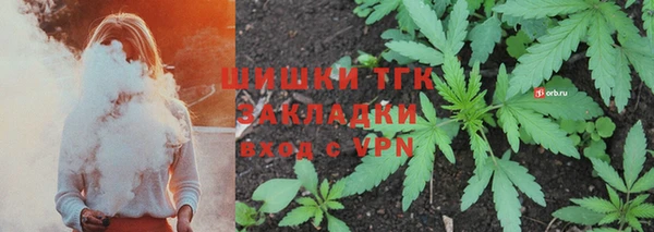ПСИЛОЦИБИНОВЫЕ ГРИБЫ Вязники