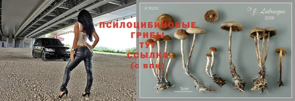 шишки Вяземский