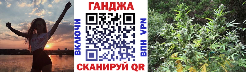 Канабис гибрид  Шлиссельбург 